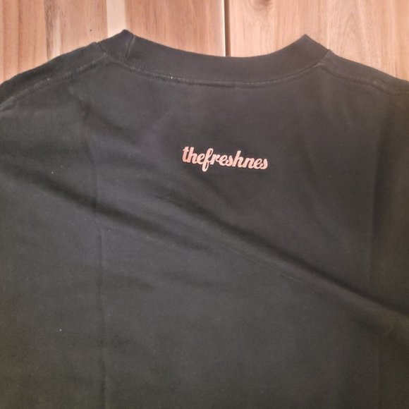 TheFreshNes - Bronze Angel  T-Shirt - Large - Picture 3 of 3